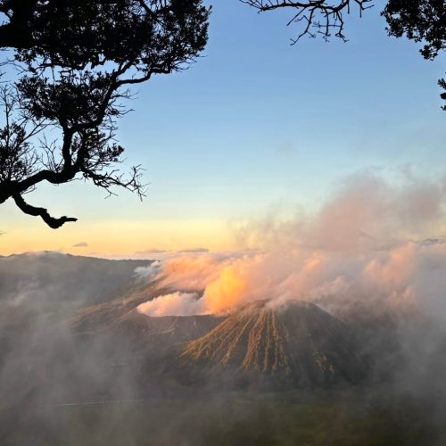 WhatsApp Image 2025-12-08 at 05.35.28